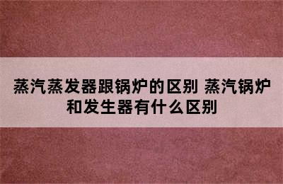 蒸汽蒸发器跟锅炉的区别 蒸汽锅炉和发生器有什么区别